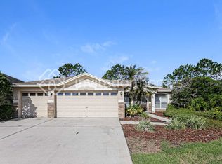 2313 Nesslewood Dr, Wesley Chapel, FL 33543