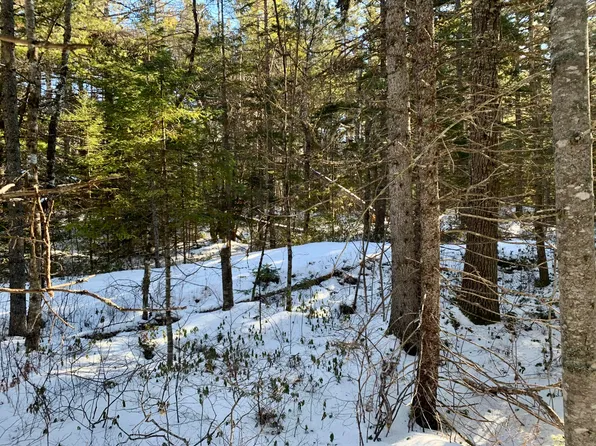 Lot 1322 Beech St - Off Deer Haven Road, Wesley, ME 04686
