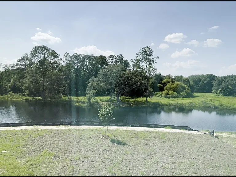 33367 Apricot Tree Ct — Photo 16