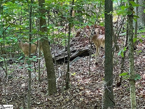 3rd image of 515 Point Rd