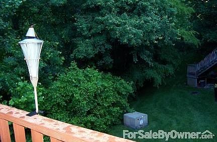 Looking off the deck in summer