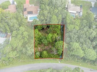 11181 W Samson Ln, Crystal River, FL 34428