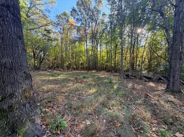 0 Michillinda Rd, Whitehall, MI 49461