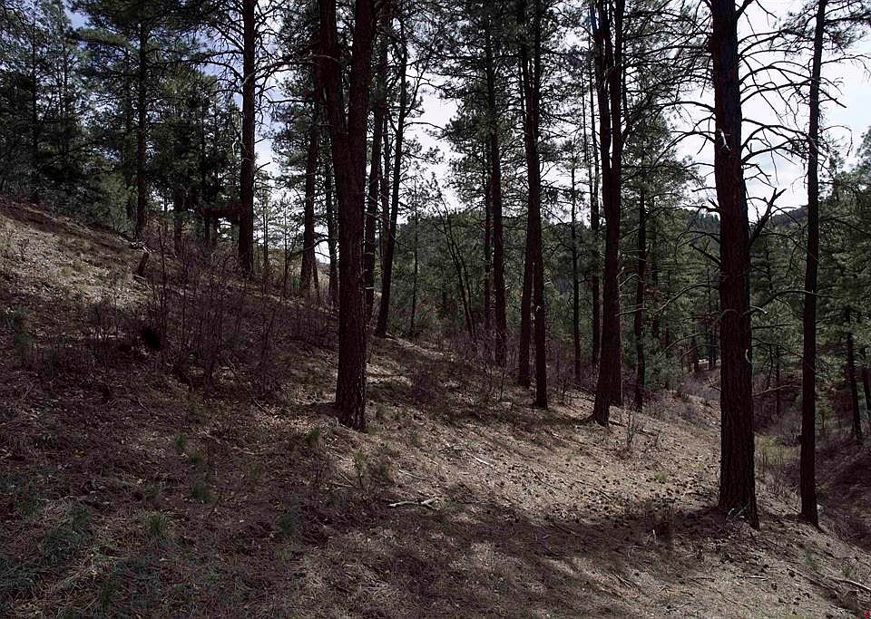 1st image of 91 hideaway Court