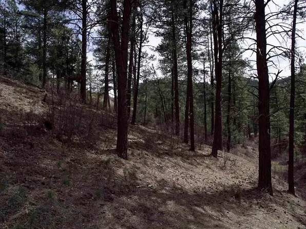 91 Heidi Ct, Pagosa Springs, CO 81147