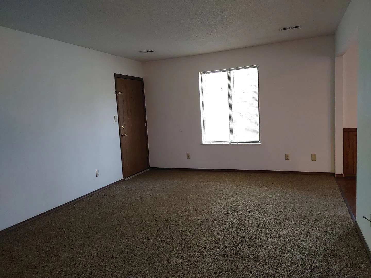 MIMOSA 3006 — Photo 3