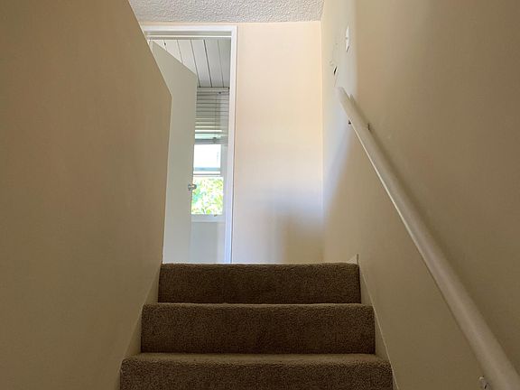 carpeted stairs.