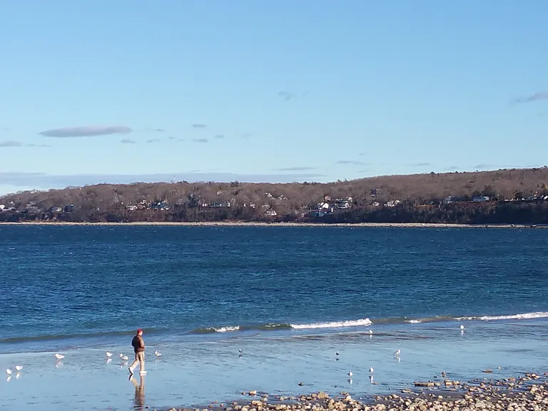 Beach near by