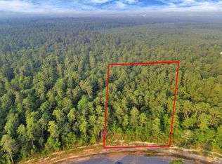 15365 Red Hawk Rd, Willis, TX 77378