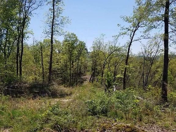 2nd image of Coy Bradley Ln