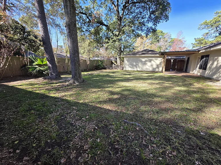 Large backyard, plenty of room.