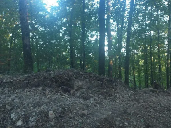 Burnham Mountai East Hwy #8, Glenwood, AR 71943