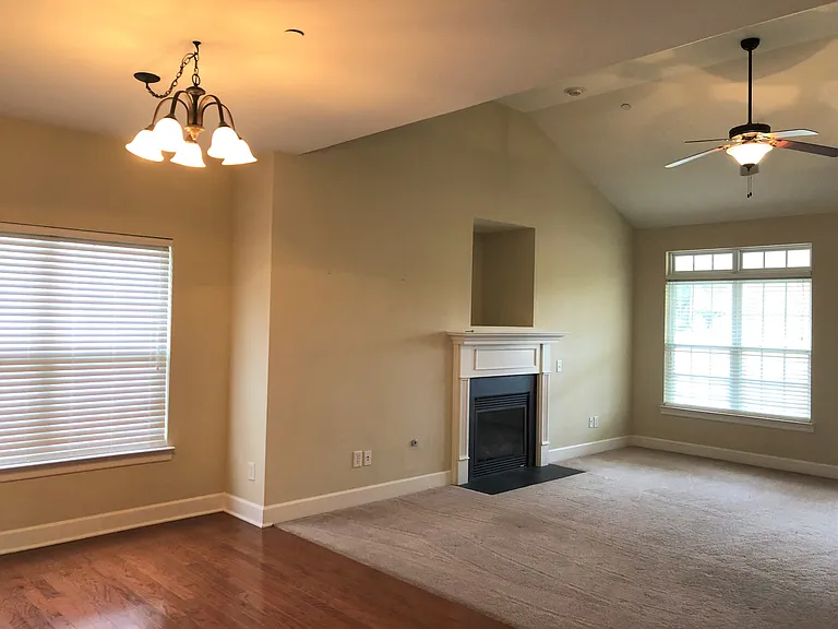 247 Dobson Branch Ct — Photo 5