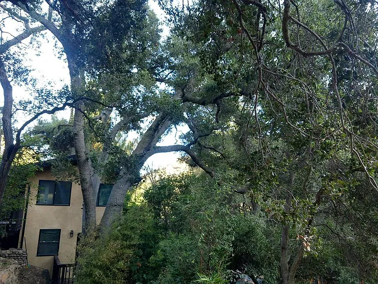 932 Old Topanga Canyon Rd — Photo 36
