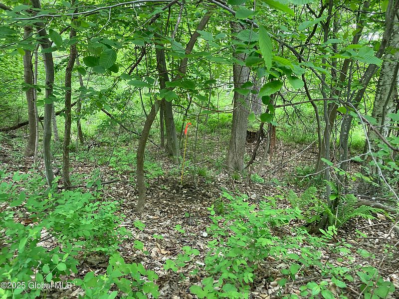 4th image of L3 Pine Springs Drive