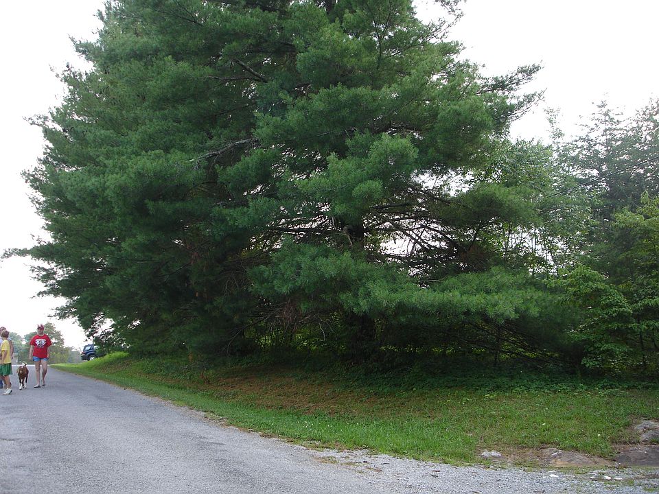 2nd image of 5 O'Camp