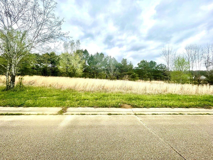0 Bryan St New Albany MS Zillow