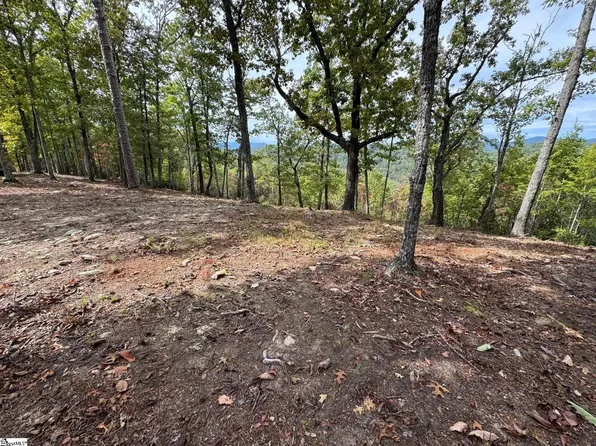 220 Blue Bonnet Trl, Marietta, SC 29661