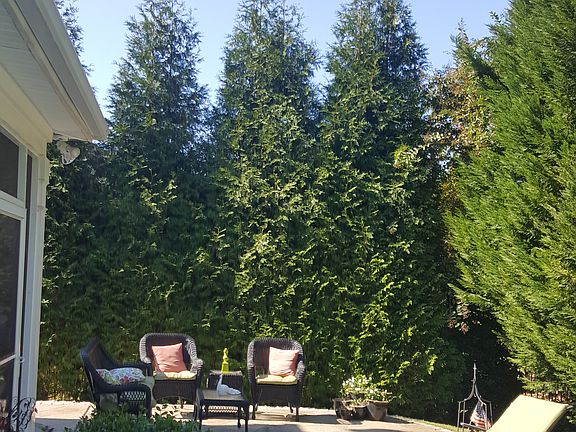 Custom pavers in large yard 