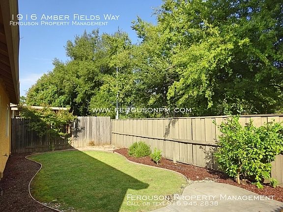 5th image of 1916 Amber Fields Way
