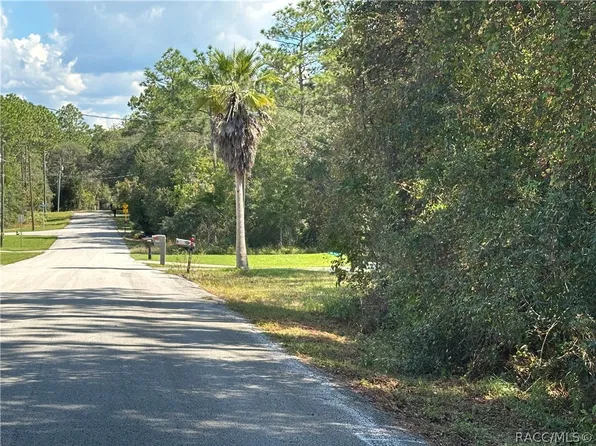 1730 E Bismark St, Hernando, FL 34442