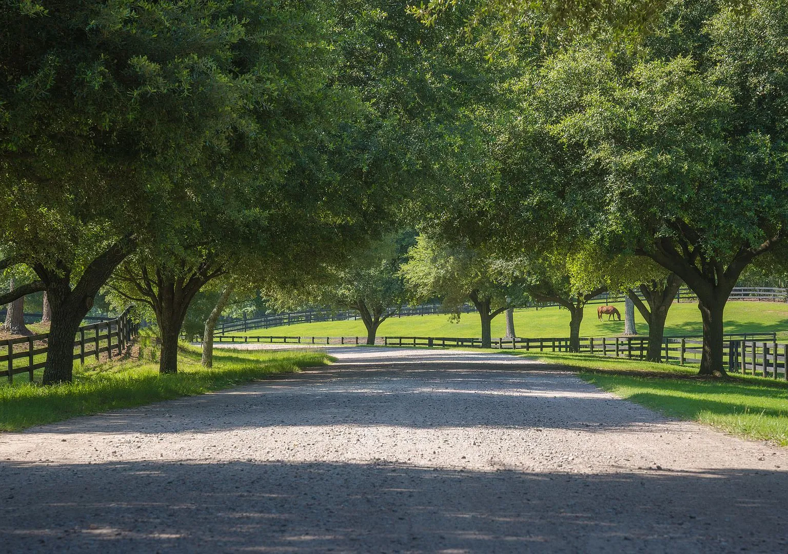 Tranquil Pastures Furnished Equestrian Retreat in Aiken, SC — Photo 2