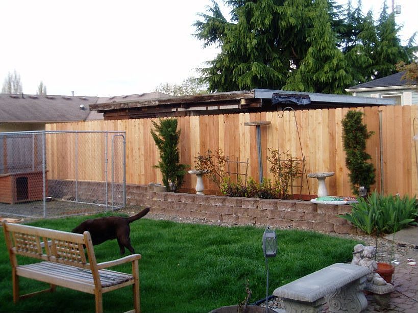 new backyard fence 2007