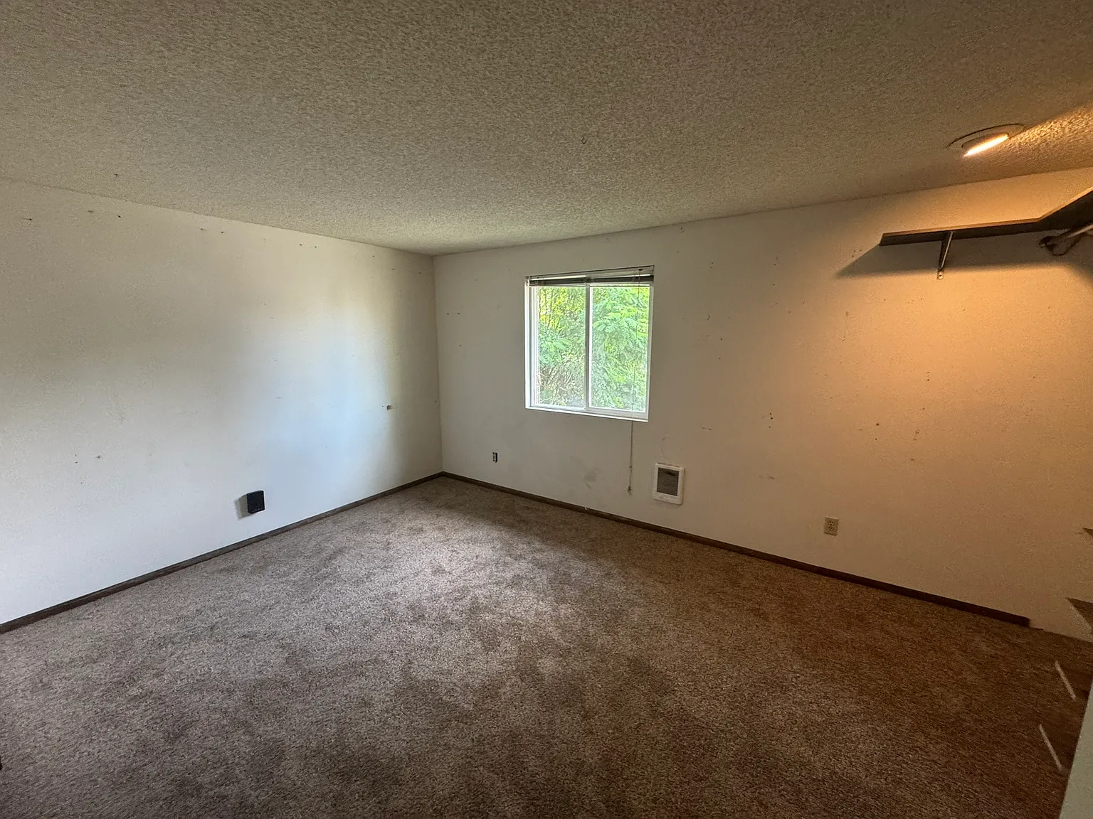 3 bed, 1296 sqft, $1,595 — Photo 2