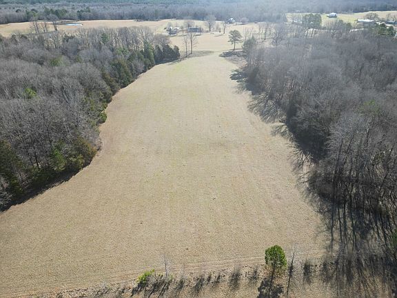 Large pasture