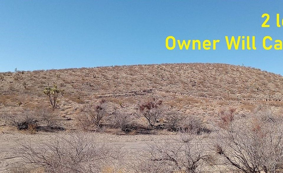 1st image of Lot 435 W 13th Street