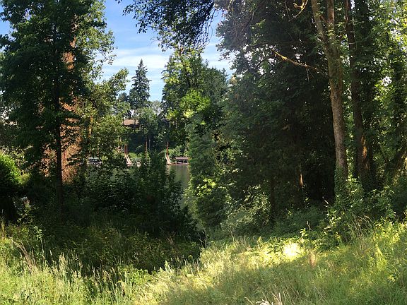 Panorama To the Willamette
