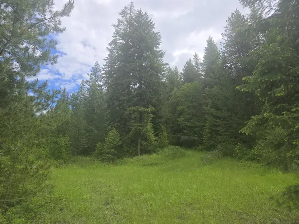 Clugston Onion Creek Rd, Colville, WA 99114