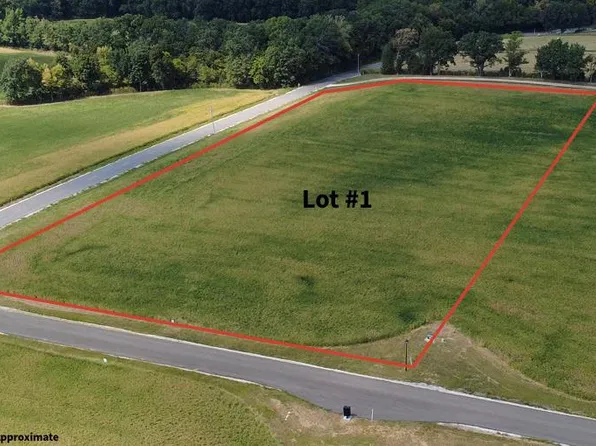 101 Otto Ct, Silex, MO 63377