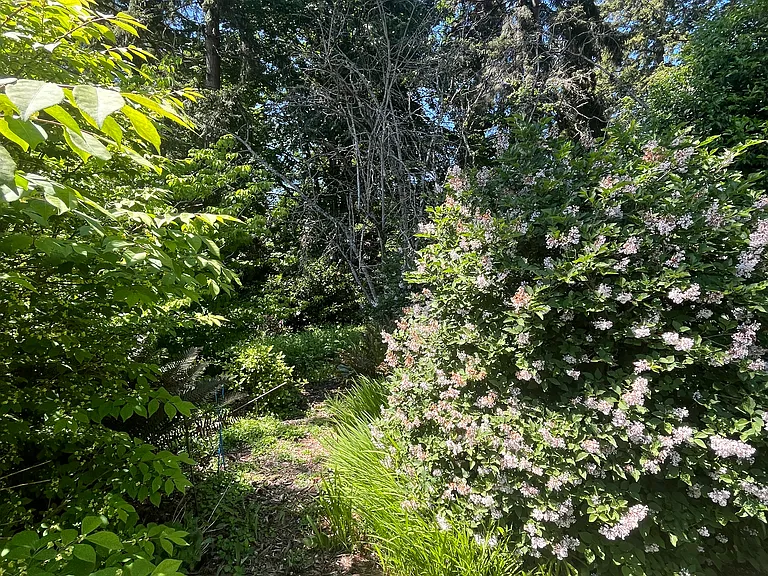 157 Grow Ave NW — Photo 8