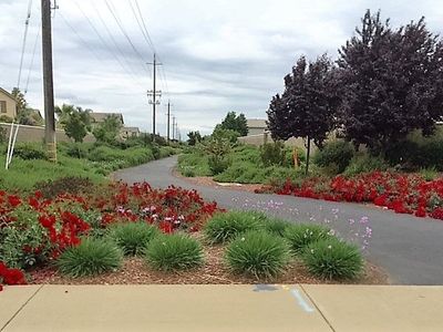 116 Capri Ct, Lincoln, CA, 95648