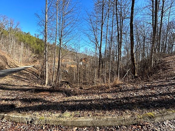 5th image of 106 Bluff Ridge Rd Lot 106
