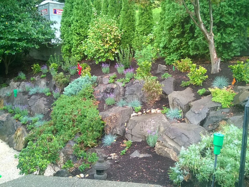 2nd image of 8487 Tillicum Rd SW