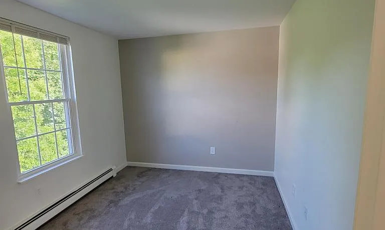 43 Carroll St #4 — Photo 8