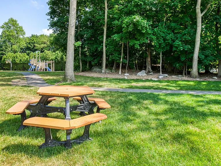 Playground and play field
