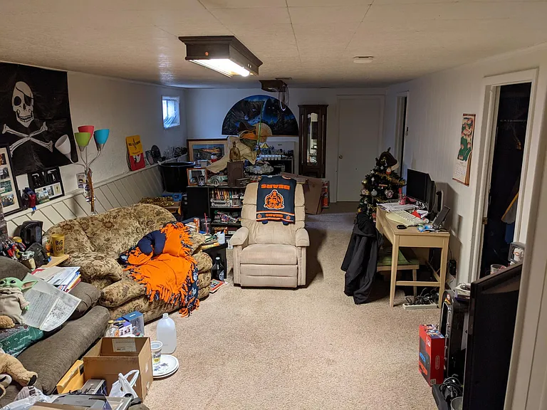 Downstairs family room