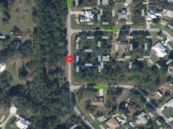 1541 Buck St Lot 97, Lake Placid, FL 33852