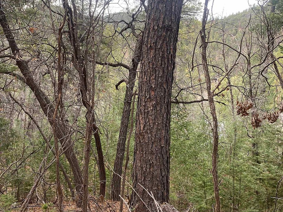1st image of 4 Devils Tower Ln