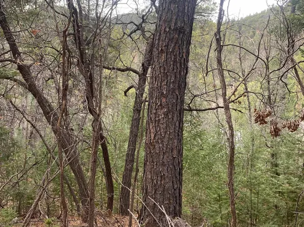 4 Devils Tower Ln, High Rolls Mountain Park, NM 88325