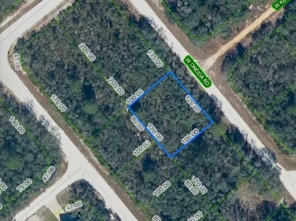 3235 W Oneida Rd, Avon Park, FL 33825