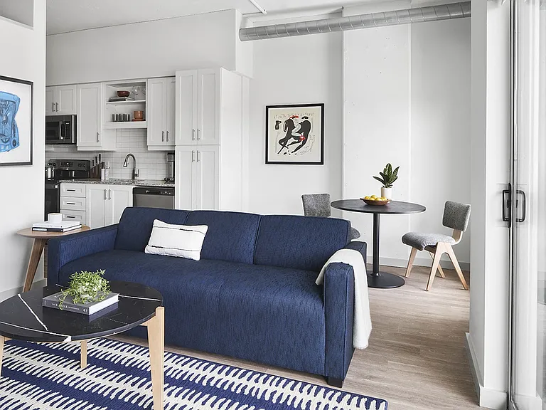 Designer-Furnished Living Area