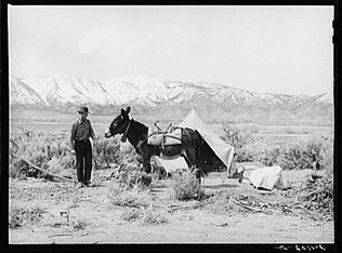 1505 Rodero Rd, Reno, NV 89510