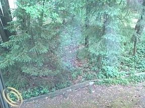 5th image of 6535 Blue Spruce Ct #1