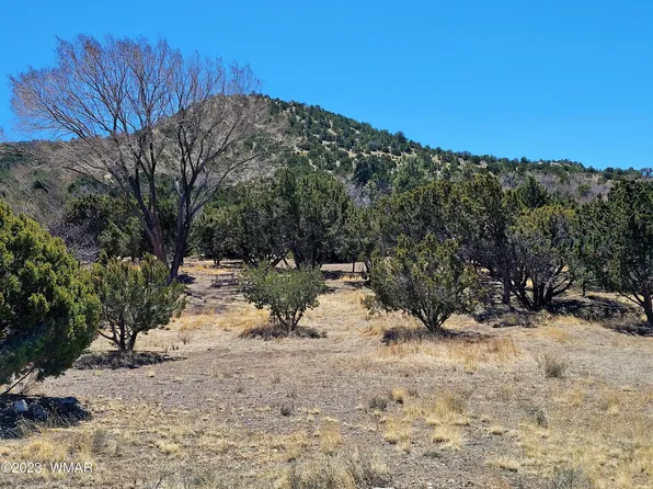 819 E 1st Ln, Eagar, AZ 85925