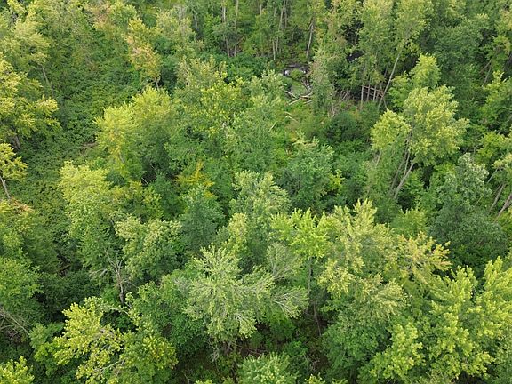5th image of Tharp Lake Rd