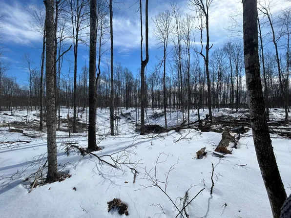 Gingell Rd, Johannesburg, MI 49751